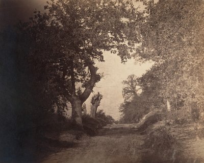 Fontainebleau, chemin sablonneux montant - Gustave Le Gray