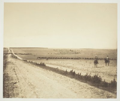 Manœuvres, Camp de Châlons - Gustave Le Gray