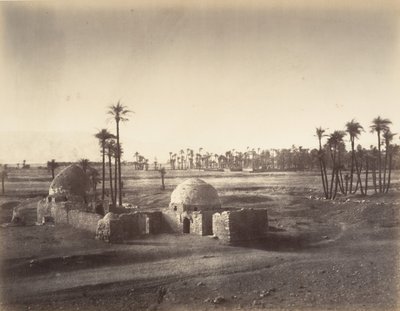 Vue de la Plaine de Thèbes prise du temple de Karnac, 1867 - Gustave Le Gray