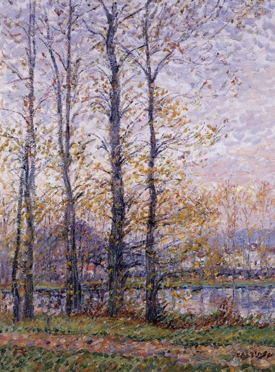 Les Bords de l