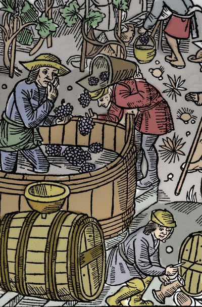 Récolte - vendanges - Calendrier du berger - Les travaux des mois - Octobre - Gravure sur bois du livre de 1496 imprimé par Guy Marchant à Troyes - Gravure sur bois dans "Le grand Calendrier et compost des bergers" - La récolte - Guy Marchant