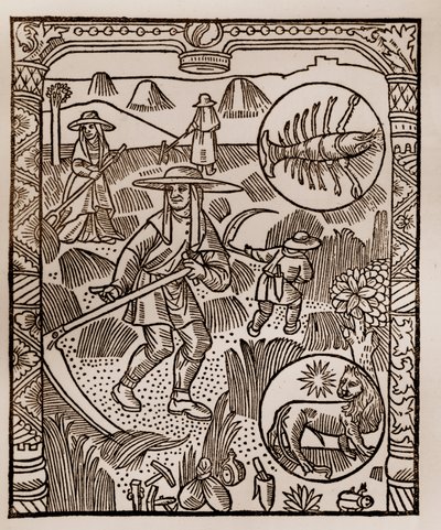 Calendrier des bergers - Les travaux des mois - Juillet - Gravure sur bois du livre de 1496 imprimé par Guy Marchant (Guido Mercator) à Troyes - Foin, la coupe des foins - Gravure sur bois dans « Le grand Calendrier et compost des bergers » - Guy Marchant