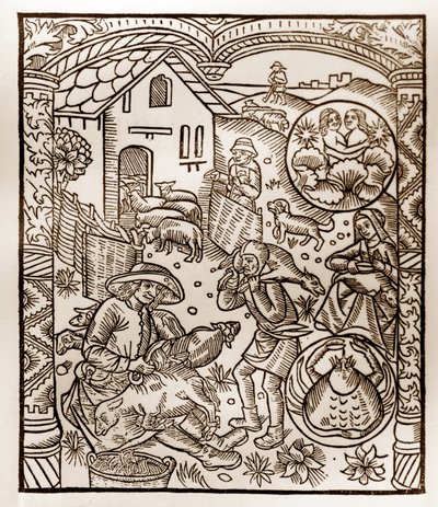 Calendrier du berger - Les Travaux des Mois - Juin - Gravure sur bois du livre de 1496 imprimé par Guy Marchant (Guido Mercator) à Troyes - Gravure sur bois dans « Le grand Calendrier et compost des bergers » - Guy Marchant