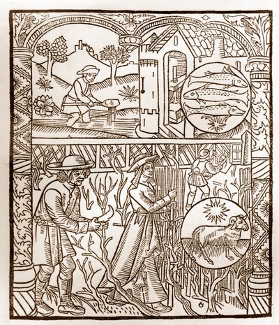 Calendrier du berger - Les Travaux des Mois - Mars - Gravure sur bois du livre de 1496 imprimé par Guy Marchant (Guido Mercator) à Troyes - Gravure sur bois dans "Le grand Calendrier et compost des bergers". - Guy Marchant