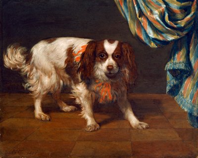 Un épagneul King Charles - Gysbert van de Kuyl