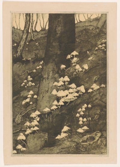 Champignons dans une forêt - H.C. Spruit (signed by artist)