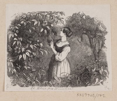 Illustration de "Une feuille du ciel" dans H.C. Andersen, "Contes et histoires", Tome 2 - H.P. Hansen