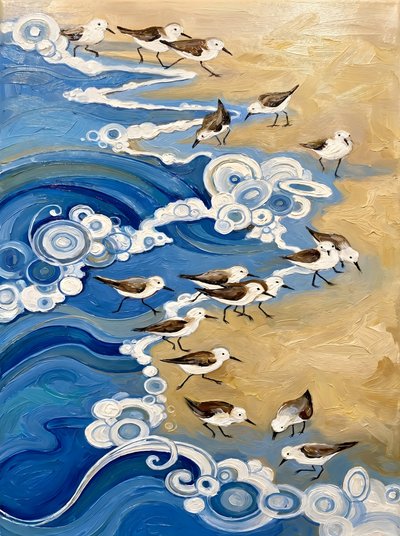 Oiseaux du littoral et vagues - HUGO