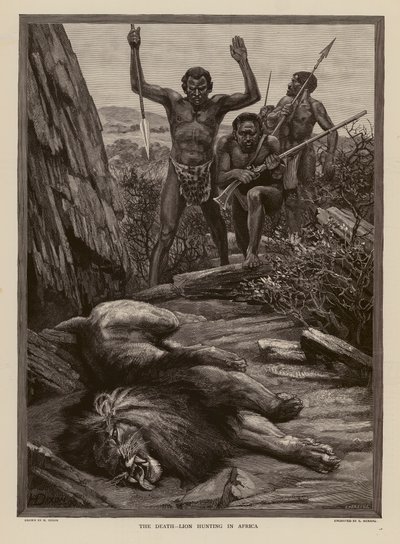 Chasse au lion en Afrique (gravure) - H. Dixon