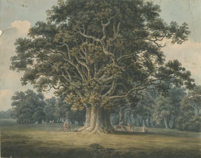 Needwood - Chêne de Swilcar : peinture à l