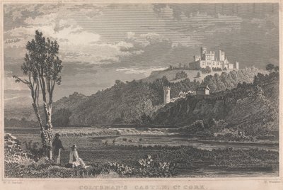 Château de Coltman, Co. Cork; page 70 (Volume Un) - H. Winkles