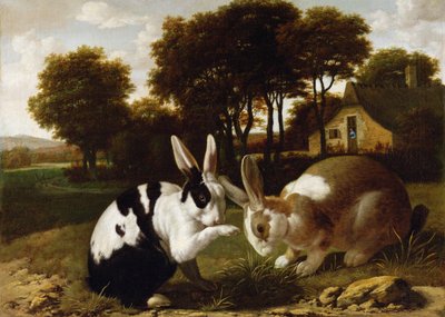 Deux lapins dans un paysage, vers 1650 - Haarlem School