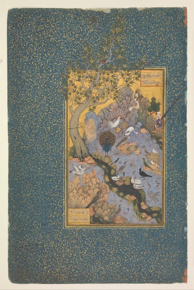 Page d