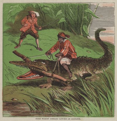 Le camarade de Peter Wilkins capture un alligator (lithographie en couleur) - after Hablot Knight Browne