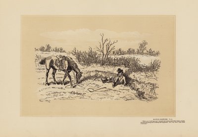 Croquis de chasse, n° 8, Décidément cool (gravure) - Hablot Knight (1815 92) Browne