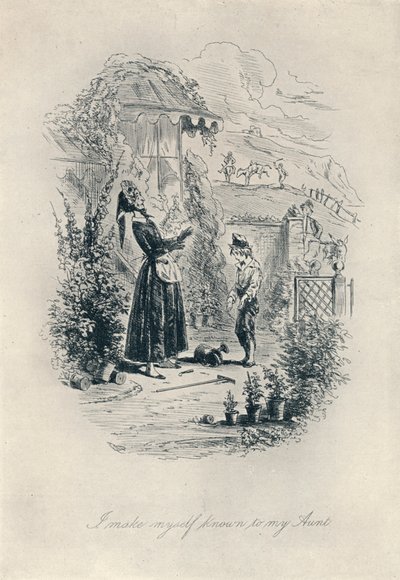 Je me fais connaître de ma tante. Gravure de David Copperfield, vers 1840-1880, 1923 - Hablot Knight Browne