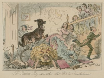 Le garçon de Benicia étonne l
