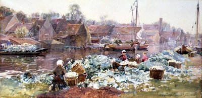 Choux-fleurs pour le marinage - Hamilton Macallum