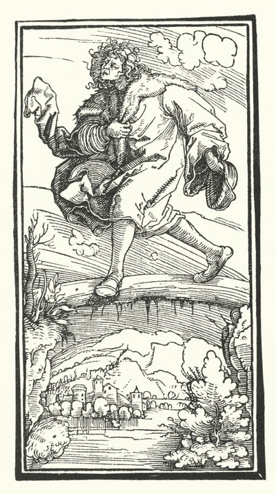 Gravure de De Remediis Utriusque Fortunae (Remèdes pour la fortune bonne et mauvaise) de Pétrarque - Hans (after) Burgkmair