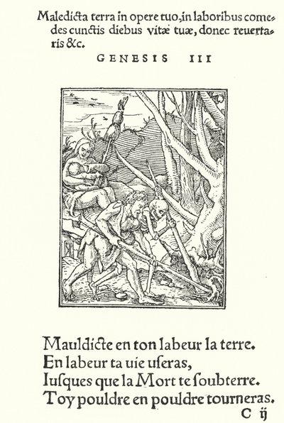 La Malédiction sur Terre et sur l