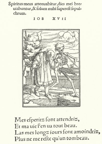 Le Vieil Homme - Hans (after) Holbein the Younger