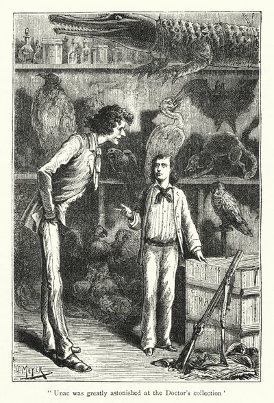 Unac était très étonné par la collection du docteur (gravure) - Hans (after) Meyer