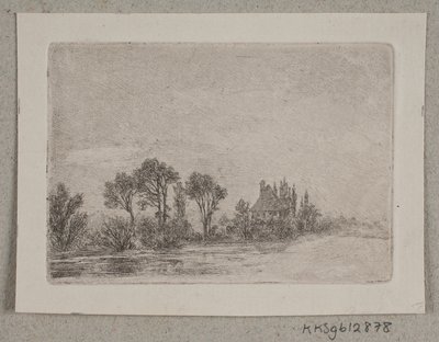 Paysage avec des arbres près de l