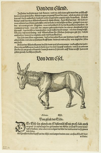 Illustration du "Thierbuch", planche 42 des gravures sur bois des livres du XVIe siècle. - Hans Asper
