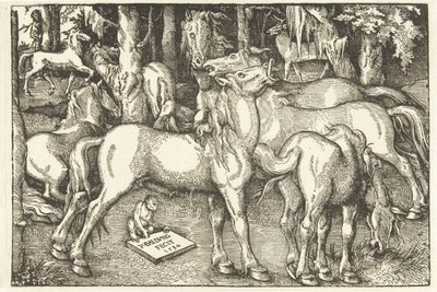 Groupe de sept chevaux et un singe - Hans Baldung Grien