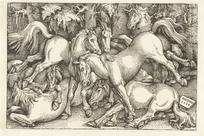 Groupe de sept chevaux combattants - Hans Baldung Grien