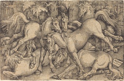 Groupe de sept chevaux dans les bois - Hans Baldung Grien