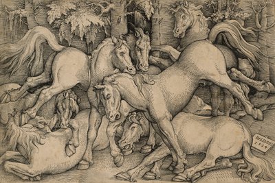 Chevaux Sauvages en Combat - Hans Baldung Grien