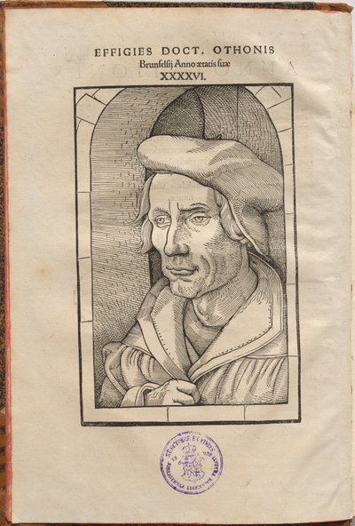 Annotationes Othonis Brunfelsii...in quatuor Euangelia & Acta Apostolorum... - Hans Baldung Grien, Otto Brunfels