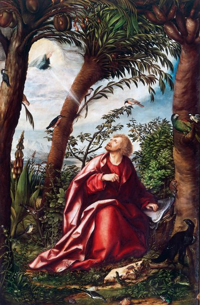 Vision de Saint Jean à Patmos (détail) - Hans Burgkmair