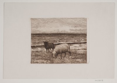Moutons sur le rivage - Hans Christian Gether Caspersen
