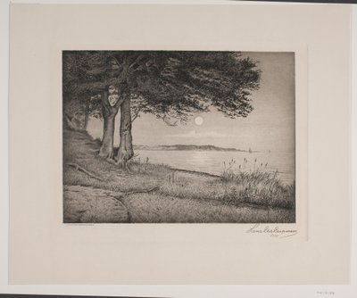 Fjord de Vejle - Hans Christian Gether Caspersen
