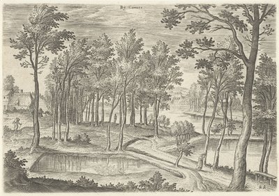 Vue des étangs de Ter Kameren - Hans Collaert (I)