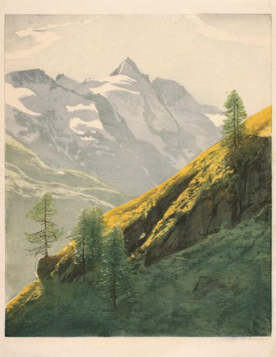 Paysage montagneux - Hans Frank
