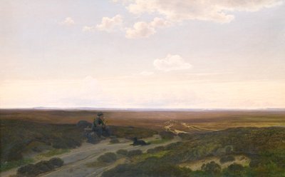 Vue des marais de Pårup près de Silkeborg, Jutland - Hans Friis