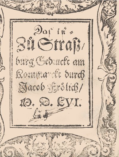 New Modelbüch allen Nägerin u. Sydenstickern Page 27v - Hans Hoffman