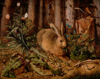 Un lièvre dans la forêt, vers 1585 - Hans Hoffmann