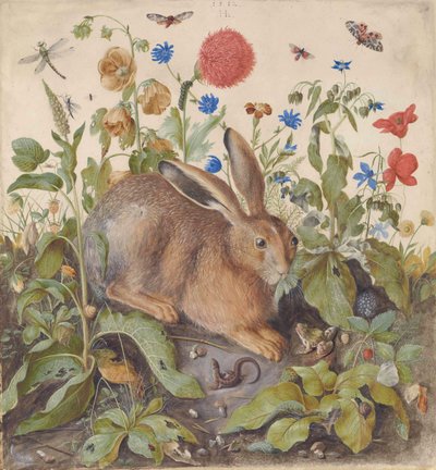 Un lièvre parmi les plantes - Hans Hoffmann