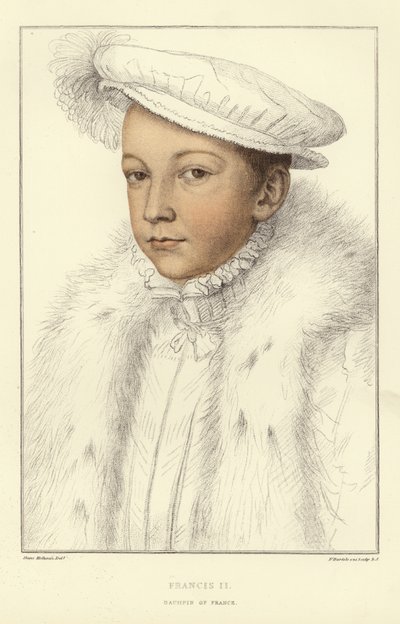 Le roi François II de France - Hans Holbein der Jüngere