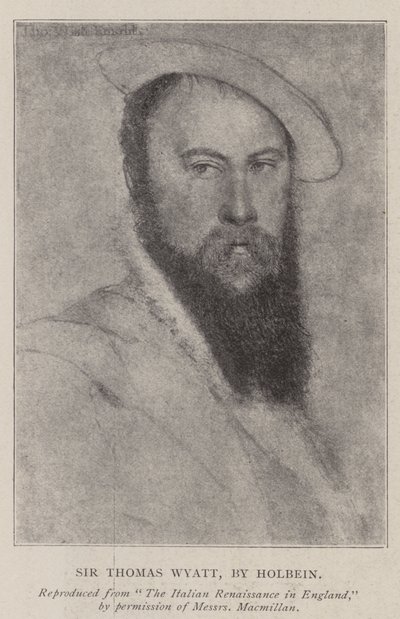Sir Thomas Wyatt - Hans Holbein der Jüngere