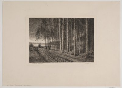 Jour de pluie dans la forêt de sapins - Hans Julius Fæster