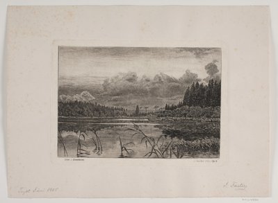 Le Lac dans la Forêt de Sapins - Hans Julius Fæster