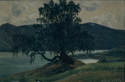 Le bouleau - Hans Leganger Reusch