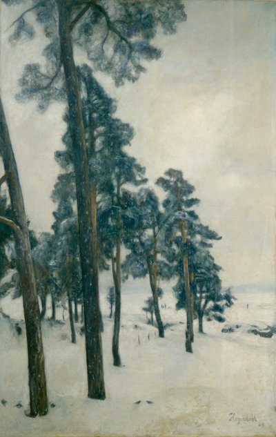 Du lac Bogstad - Hans Olaf Heyerdahl