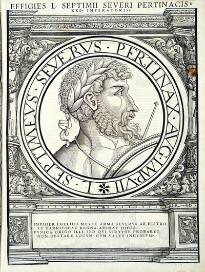 Septimus Seuerus, illustration de 