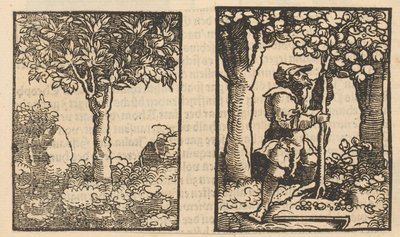 Arbre et représentation d